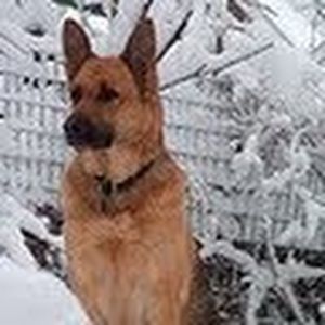 Meet your Posher, Erika